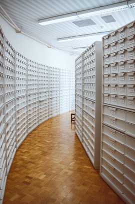 Rock and Roll Monkey